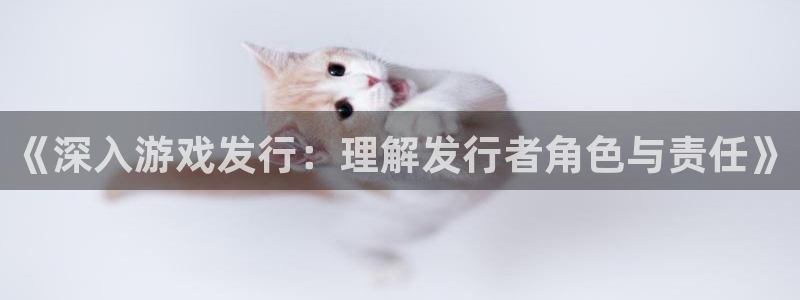 bg大游官网注册平台登录不上：《深入游戏发行：理解发行者角色与责任》