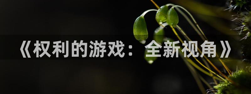 bg大游官网登录注册账号安全吗安全吗：《权利的游戏：全新视角》