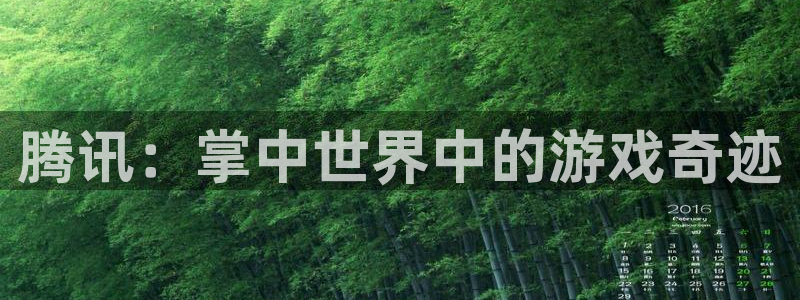 广州bg大游网络科技有限公司：腾讯：掌中世界中的游戏奇迹