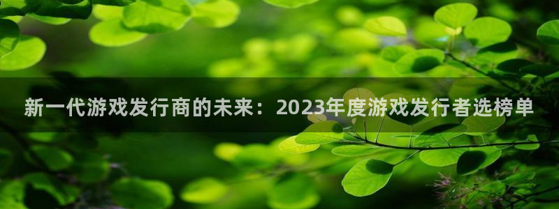 bg大游官网是境外的吗：新一代游戏发行商的未来：2023年度游戏发行者选榜单