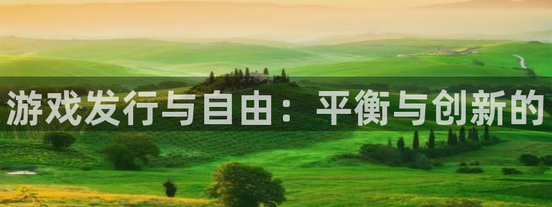 bg大游服装品牌：游戏发行与自由：平衡与创新的