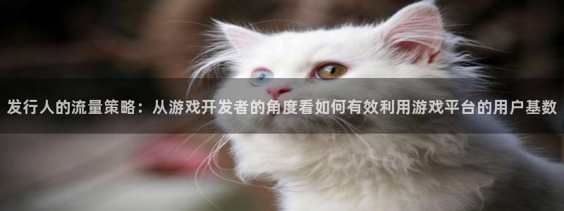 bg大游官网游戏：发行人的流量策略：从游戏开发者的角度看如何有效利用游戏平台的用户基数
