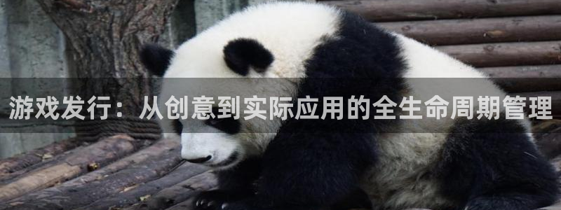 bg大游电子科技怎么样