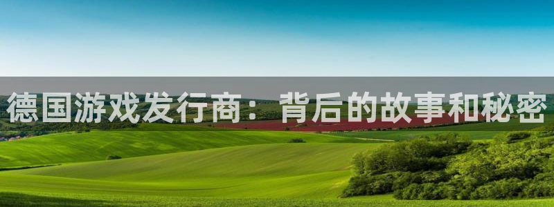 bg大游官网平台怎么样啊