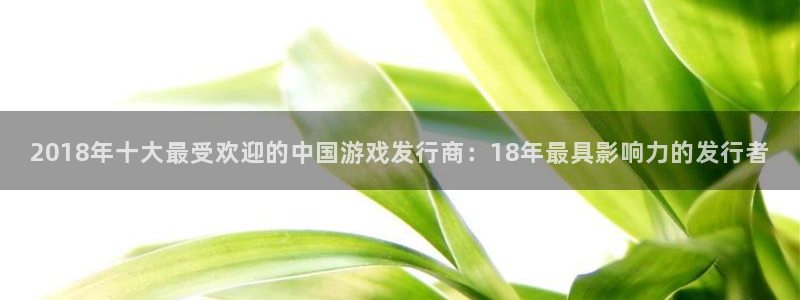 bg大游实业投资(东莞)有限公司：2018年十大最受欢迎的中国游戏发行商：18年最具影响力的发行者