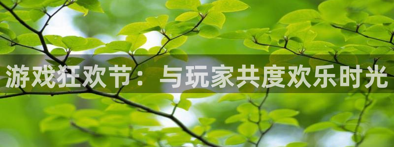 bg大游官网游戏怎么注册：游戏狂欢节：与玩家共度欢乐时光