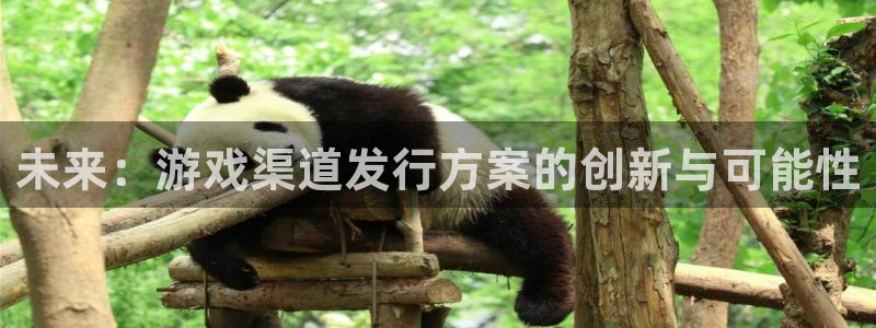 bg大游官网注册地址查询官网：未来：游戏渠道发行方案的创新与可能性