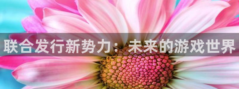 bg大游集团董事长刘一辰简历：联合发行新势力：未来的游戏世界