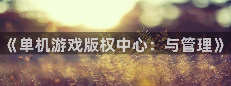 bg大游官网平台合法吗