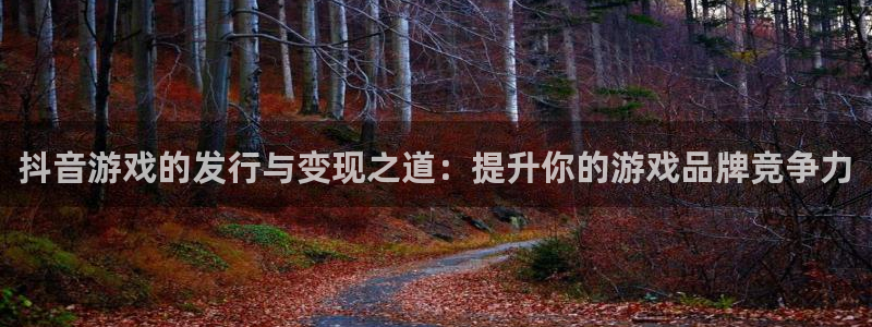 广州bg大游网络科技有限公司：抖音游戏的发行与变现之道：提升你的游戏品牌竞争力