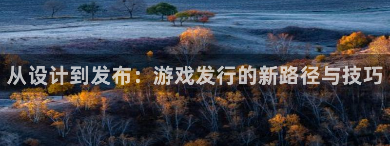 bg大游官网注册平台怎么注册账号：从设计到发布：游戏发行的新路径与技巧