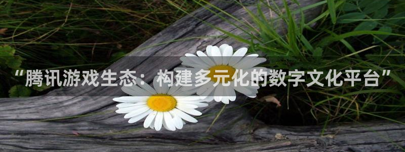 bg大游官网客服服务电话：“腾讯游戏生态：构建多元化的数字文化平台”