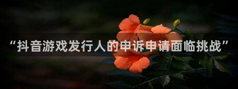 东莞bg大游信息科技有限公司：“抖音游戏发行人的申诉申请面临挑战”