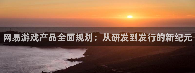 bg大游官网平台代理条件如何：网易游戏产品全面规划：从研发到发行的新纪元