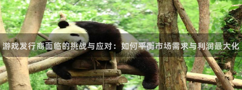 江苏bg大游智得