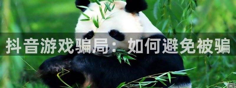 深圳市bg大游科技有限招聘公司