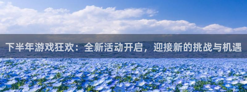 bg大游集团是什么企业