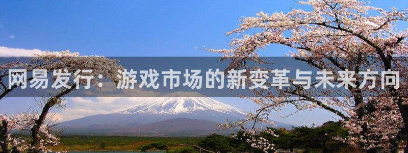 bg大游子最好看的小说