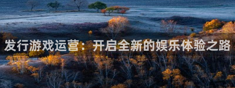 bg大游lvnces官网